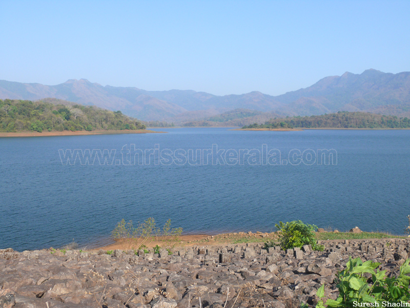 chimmini-dam-thrissur (9)